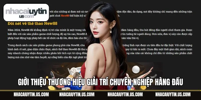Giới thiệu thương hiệu giải trí chuyên nghiệp hàng đầu