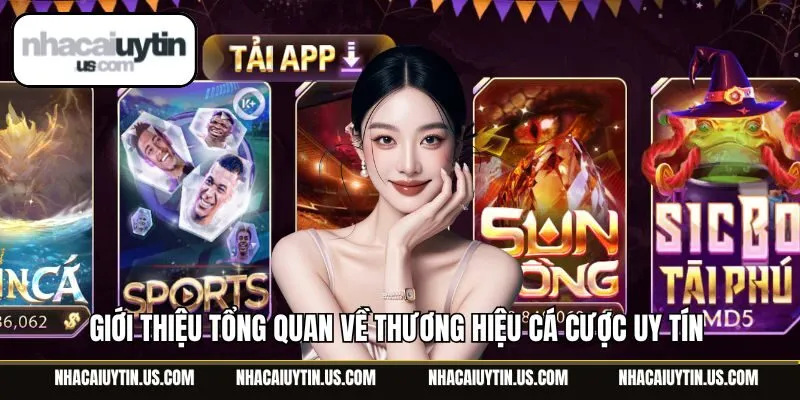 Giới thiệu tổng quan về thương hiệu cá cược uy tín