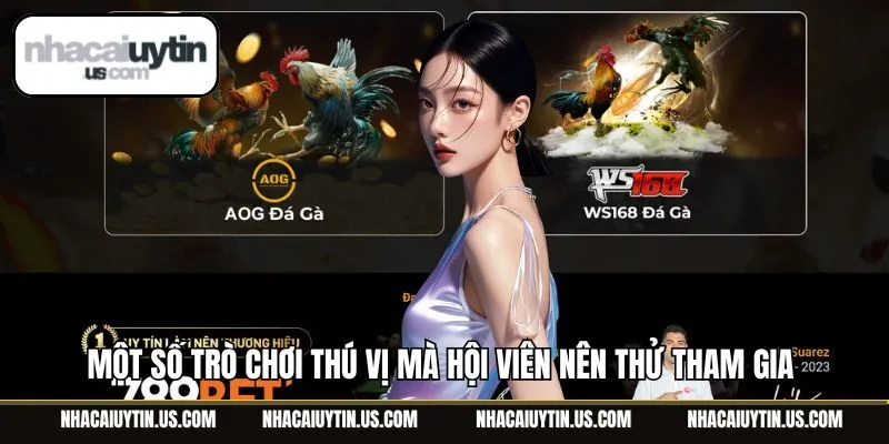 Một số trò chơi thú vị mà hội viên nên thử tham gia